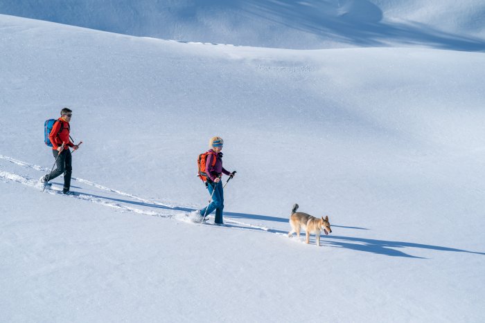 Randonnée raquette Narreyroux Puy Saint Vincent