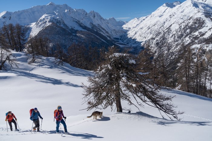 Randonnée raquette Oreac Puy Saint Vincent