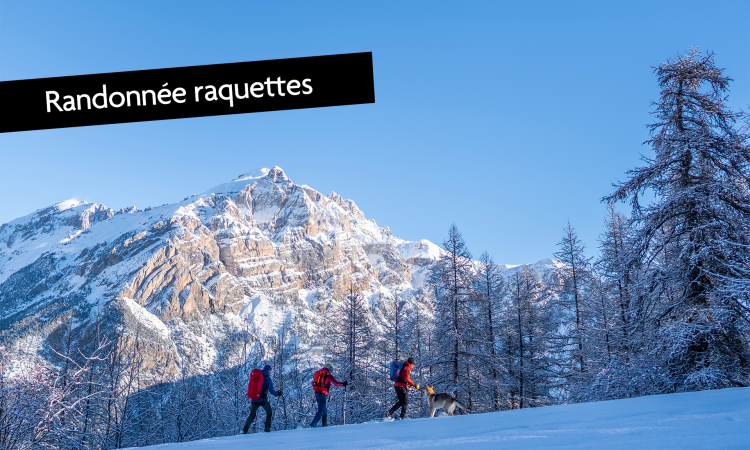 Randonnée raquettes Puy Saint Vincent