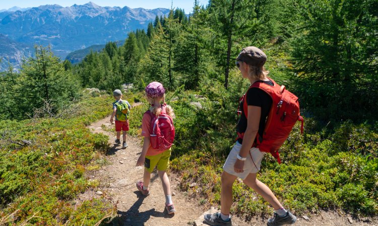 Famille Puy Saint Vincent