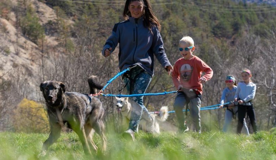 Chiens de traineau "Mushing Addict"_Puy-Saint-Vincent