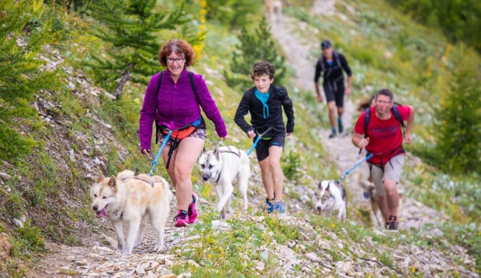 Chiens de traineau "Mushing Addict"_Puy-Saint-Vincent