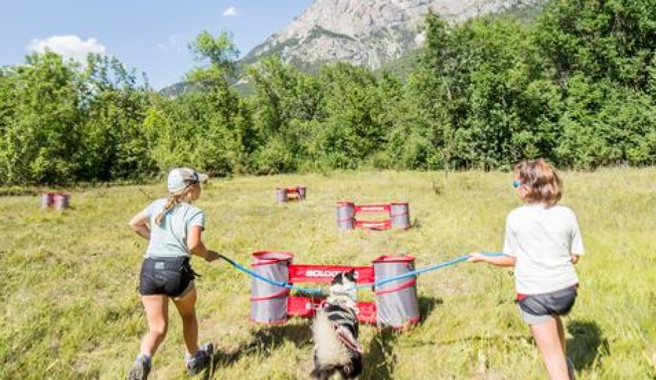 Chiens de traineau "Mushing Addict"_Puy-Saint-Vincent