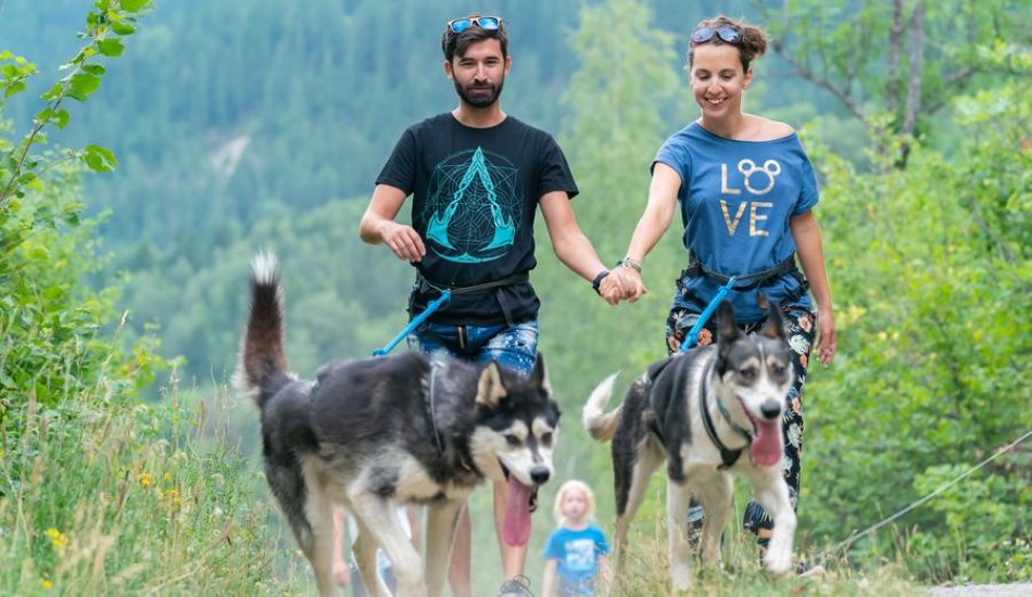Chiens de traineau "Mushing Addict"_Puy-Saint-Vincent