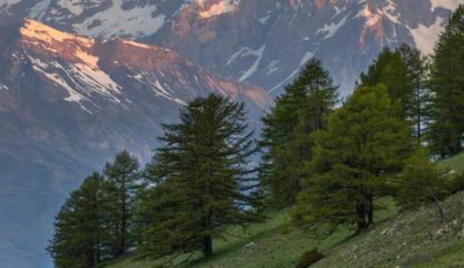 Sébastien Foissac_L'Argentière-la-Bessée - Vue sur le Mont Pelvoux