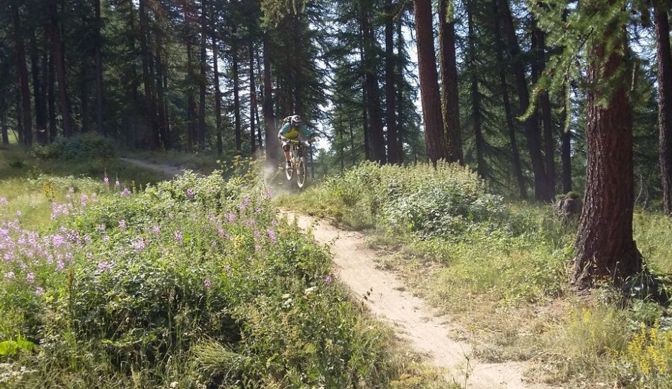 Localvelo - Stage de DH