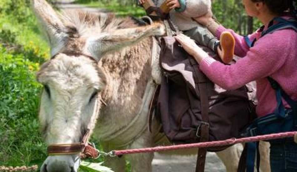 ALP'AGAGA, les excursions gagas de nature, d'animaux et de découvertes_Vallouise-Pelvoux