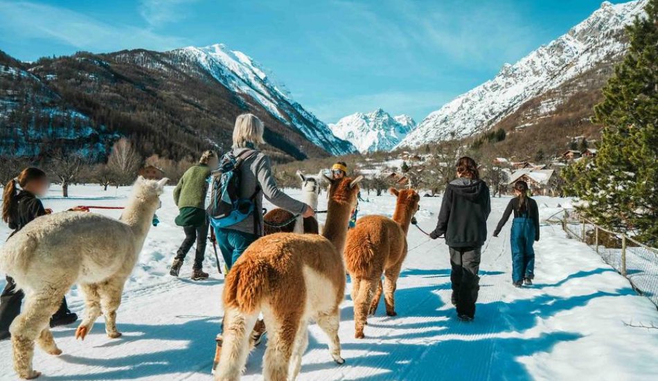 ALP'AGAGA, les excursions gagas de nature, d'animaux et de découvertes_Vallouise-Pelvoux
