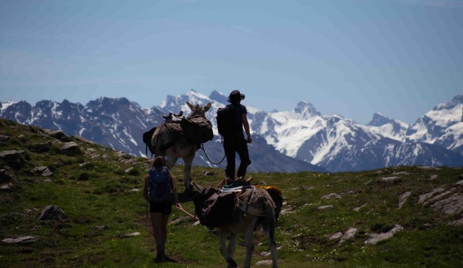ALP'AGAGA, les excursions gagas de nature, d'animaux et de découvertes_Vallouise-Pelvoux