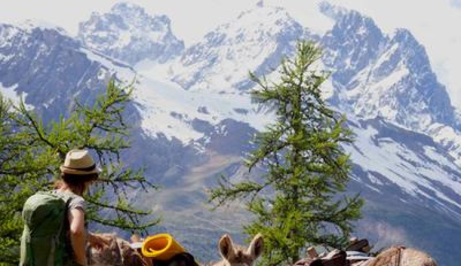 ALP'AGAGA, les excursions gagas de nature, d'animaux et de découvertes_Vallouise-Pelvoux
