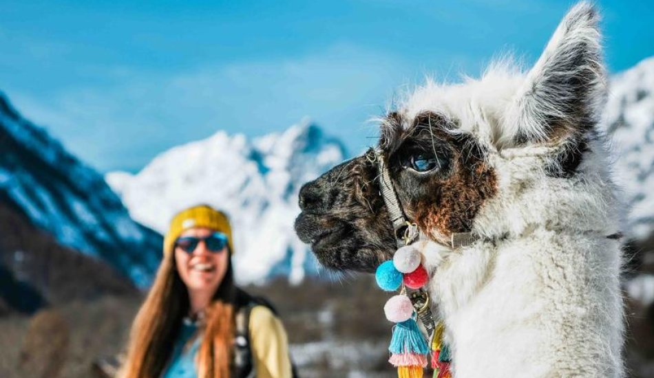 ALP'AGAGA, les excursions gagas de nature, d'animaux et de découvertes_Vallouise-Pelvoux