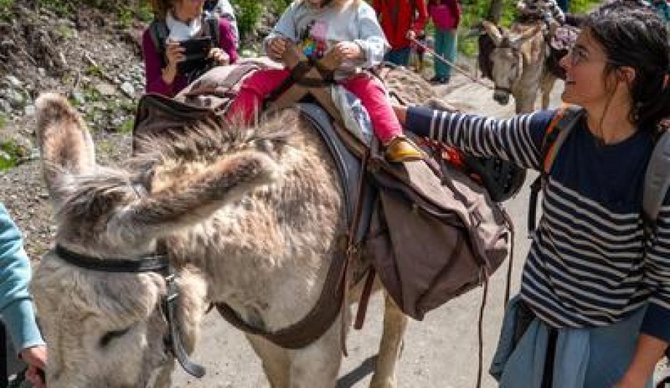 ALP'AGAGA, les excursions gagas de nature, d'animaux et de découvertes_Vallouise-Pelvoux
