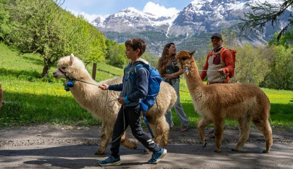 ALP'AGAGA, les excursions gagas de nature, d'animaux et de découvertes_Vallouise-Pelvoux