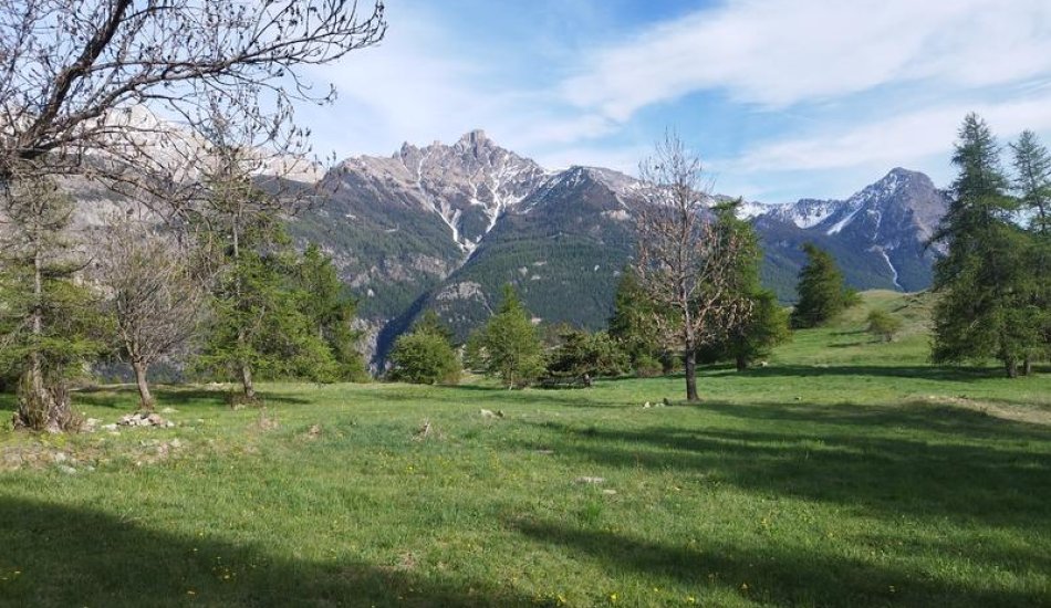 Marion Fantoni, balades avec les ânes_Saint-Martin-de-Queyrières