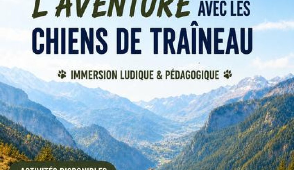Chien de traineaux : The autumn wind_Vallouise-Pelvoux