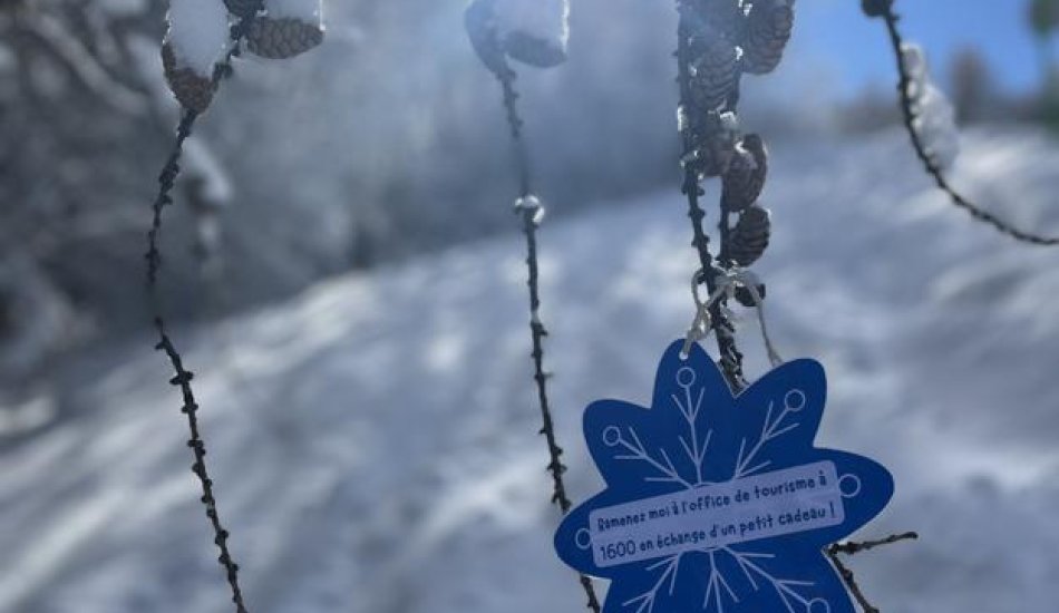 Retrouve les Flocons de Floky_Puy-Saint-Vincent - Flocons