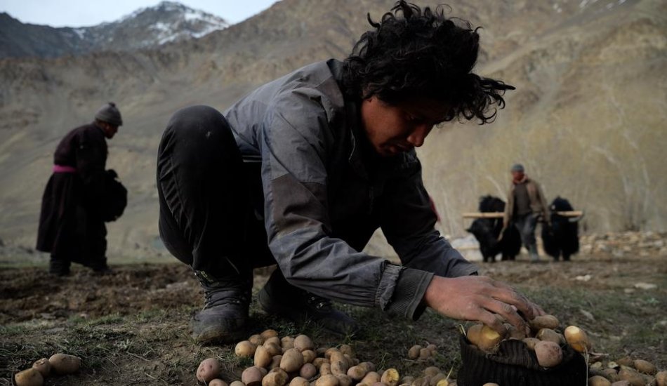 Film LA ROUTE de Marianne CHAUD_Puy-Saint-Vincent