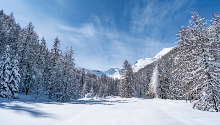 Ski de randonnée Narreyroux Puy Saint Vincent
