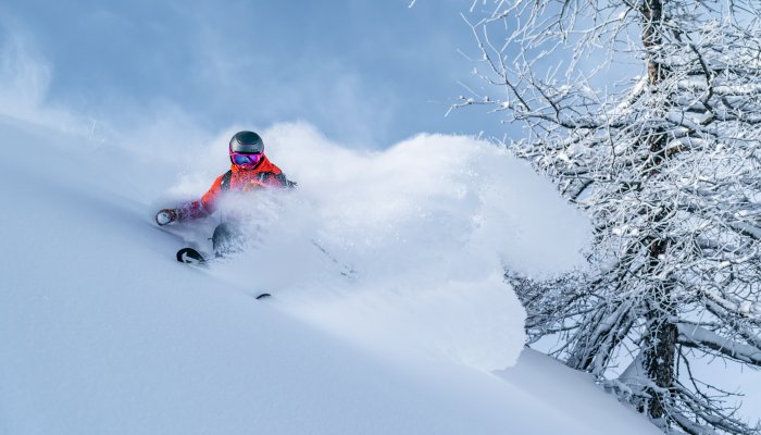 Ski freeride à Puy Saint Vincent.