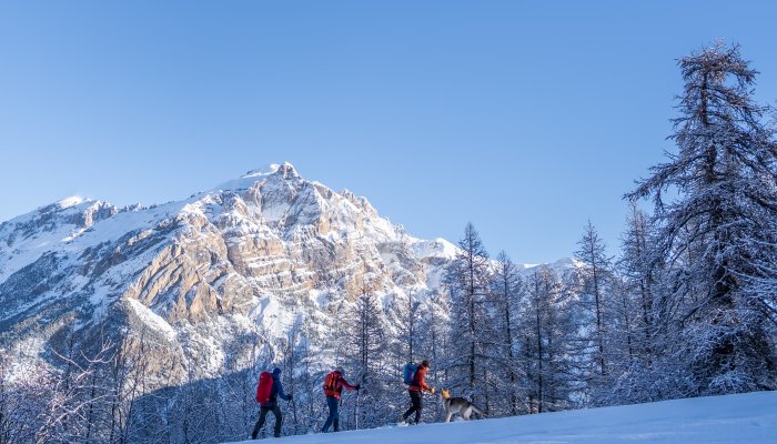 Randonnée hivernale Puy Saint Vincent