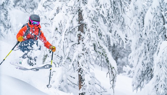 Neige freeride Puy Saint Vincent.