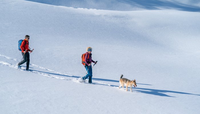 Randonnée raquette Narreyroux Puy Saint Vincent