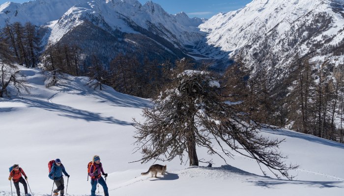 Randonnée raquette Oreac Puy Saint Vincent