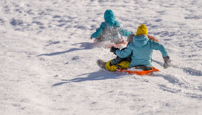 Luge à Puy Saint Vincent
