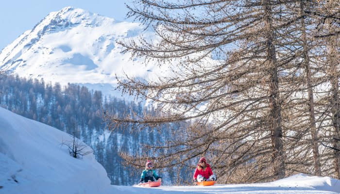 Rando luge à puy saint vincent