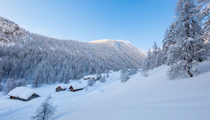 Narreyroux Puy Saint Vincent