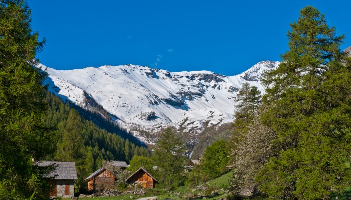Narreyroux Puy Saint Vincent
