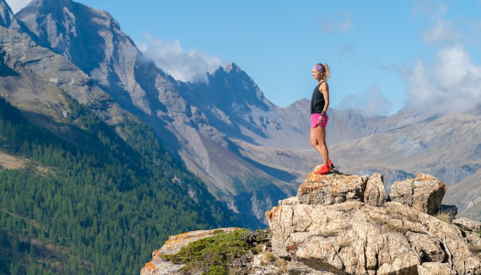Plateau d'Oréac Puy Saint Vincent