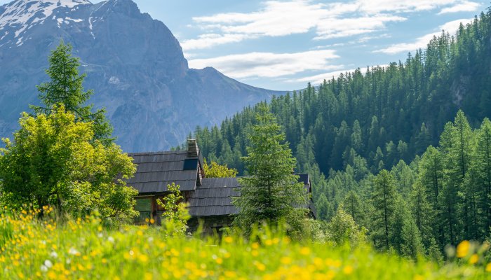 Culture et patrimoine