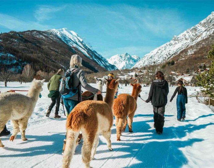 ALP'AGAGA, les excursions gagas de nature, d'animaux et de découvertes_Vallouise-Pelvoux
