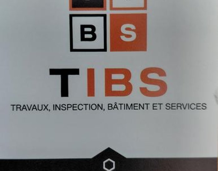 TIBS: TRAVAUX, INSPECTION, BATIMENT et SERVICES_Puy-Saint-Vincent