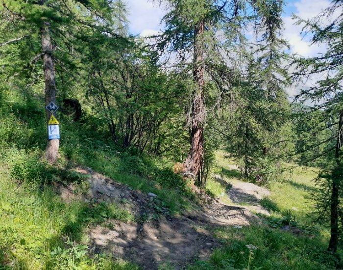 piste Tamarack