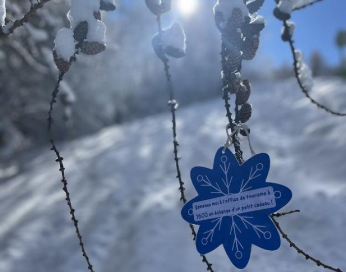 Retrouve les Flocons de Floky_Puy-Saint-Vincent - Flocons