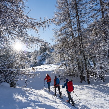 Rando raquettes Puy Saint Vincent