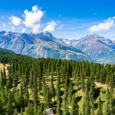 Explorer Puy Saint Vincent