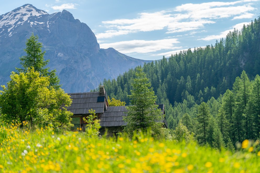 Culture et patrimoine